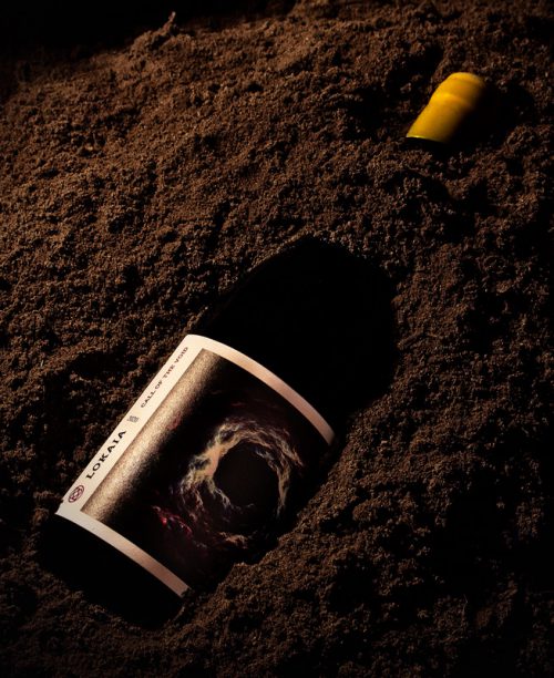 Lokaia Call of the Void - Franschhoek Cabernet Franc Bottle Shot