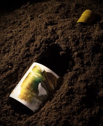 Lokaia Pound of Flesh Semillon 2022