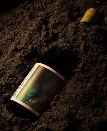 Lokaia The Sandman Chardonnay 2021