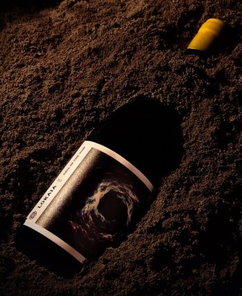 Lokaia Call of the Void Amphora Cabernet Franc 2023